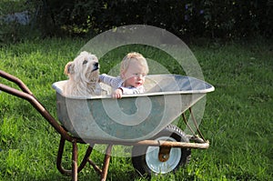 Little toddler girl and her dog sitting in a pushcart