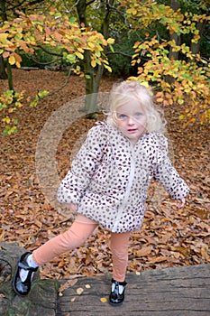 Little toddler girl standing on a tree trunk
