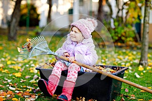 Little toddler girl working with rake in autumn garden or park. Adorable happy healthy child having fun with helping of