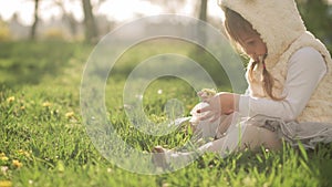 Little Toddler preschool Girl in dress Collects yellow dandelion flowers sitting on green grass in spring park. Happy