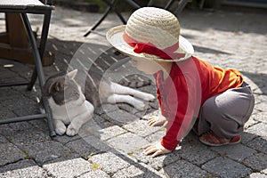 Little toddler talking to a cat