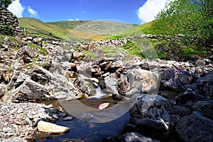 Little Tongue Gill