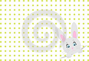 Little toy rabbit on white background with dots. Vector.