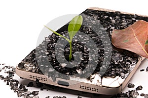 Little tree growing on the broken smartphone, environment, knowledge, innovation and technology concept with copy space