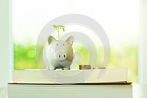 Little tree growing on saving piggy bank on book in saving money for education concept