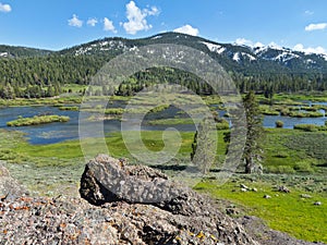 Little Truckee River in the Perazzo Meadows photo