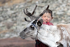 Little tsaatan boy playing with his family`s reindeer.