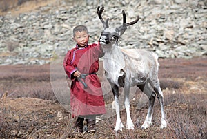 Little tsaatan boy playing with his family`s reindeer. photo