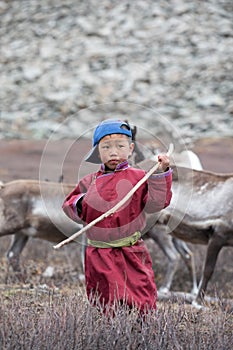 Little tsaatan boy posing with his family`s reindeer.