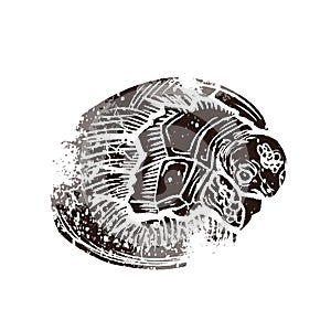 Little turtle in egg in linocut retro style isolated on white