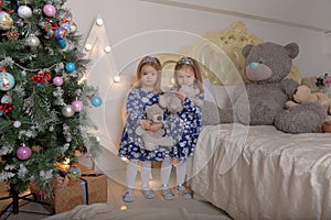 Little twin girls in blue dresses with teddy bears in their hands by the Christmas tree