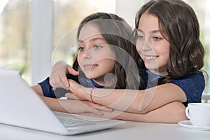 Little twin girls using laptop