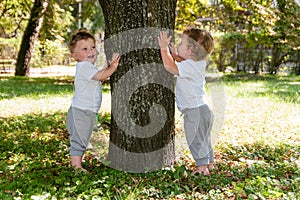 Little twins, curly boys in white T-shirts, hugging a tree