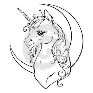 Little unicorn and crescent moon isolated vector illustration. Coloring book pages for adults and kids