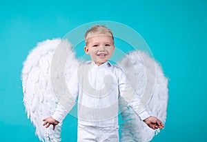 Little Valentin. Cute smiling child boy with white angel wings.