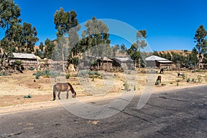 A little village in the Simien Mountains in Northern Ethiopia