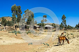 A little village in the Simien Mountains in Northern Ethiopia