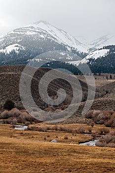 The Little Walker River flows below the mountains near Sonora Junction, California, USA