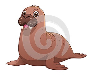 Little Walrus Cartoon Animal Illustration