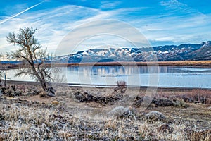 Little Washoe Lake near Reno, Nevada with a flock of pelicans during late winter or early spring.