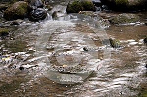 Little Waterfall Between Boulders and Rocks on a Stream