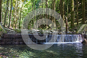 Little waterfall near Camaldoli