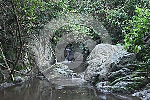 Little Waterfall Trees Rocks Plants Water Nature