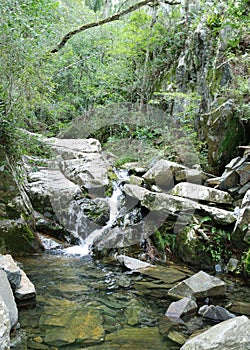 Little waterfall in tropical forest