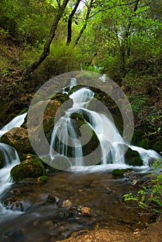 Little waterfall under the tree shade