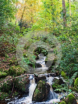 A little waterfall in a wooded forest