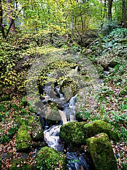 A little waterfall in a wooded forest