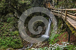 little waterfall with wooden walkways in a gorge