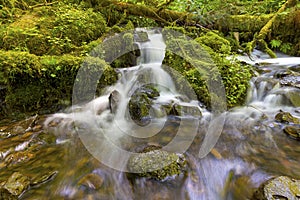 Little Waterfalls along Wahkeena Creek