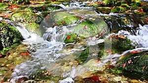 Little waterfalls in a peaceful wood.