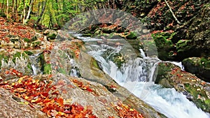 Little waterfalls in a peaceful wood.