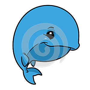 Little whale animal character  cartoon