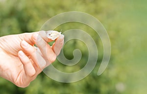 Little white butterfly on girl finger. Love to nature, freedom, lightness and easygoing concept. photo