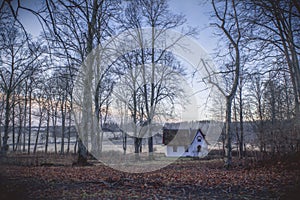 Little white cottage in colourful forest.