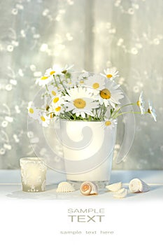 Little white daisies and seashells