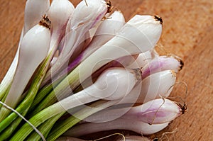 Little White and Pink Onions, cebollitas photo