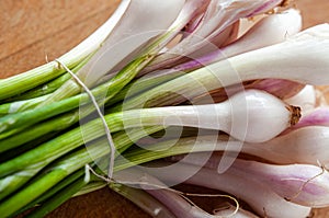 Little White and Pink Onions, cebollitas photo