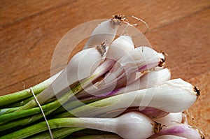 Little White and Pink Onions, cebollitas photo