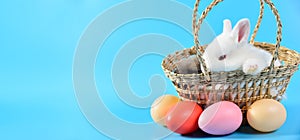 Little white rabbit with red eye sitting in basket weave on blue background with colorful egg, concept of Easter festival