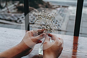 Little white tree and flowers holding by your hand