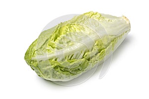 Little whole fresh raw Romaine lettuce on white background close up