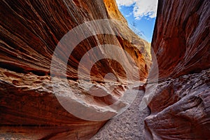 Little Wild Horse Canyon