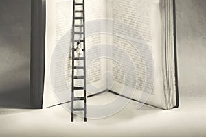 Little woman tries to reach the summit of knowledge by climbing a gigantic book