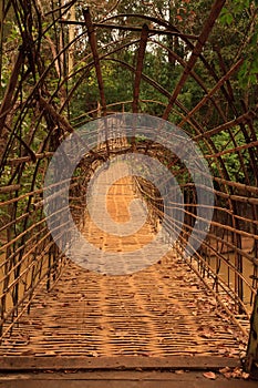 Little wood Bridge next to the Tad Pha Suam waterfall,champasak