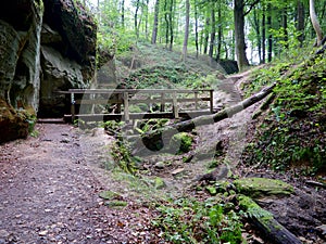 Wooden Bridge on the Hiking Trail in Berdorf, Luxembourg photo