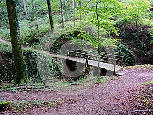 Little Wooden Bridge in the Woods of Berdorf, Luxembourg photo